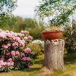 Hébergement de vacances Letniskowe Owrac *