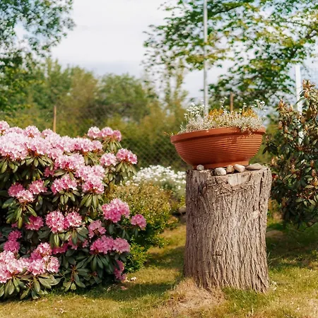 Сasa de vacaciones Letniskowe Owrac *